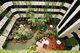 ? HotelDetail_LogoAlt Novotel Darwin CBD logo