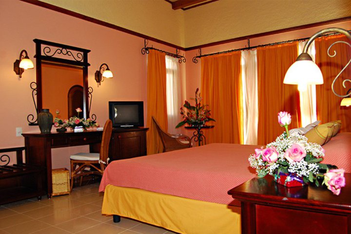 Img - Estándar