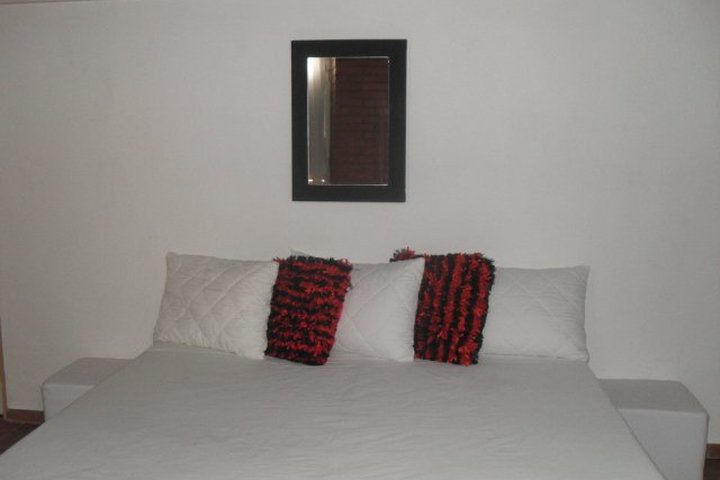 Img - Estándar