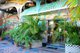 ? HotelDetail_LogoAlt Posada Marpez logo
