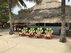 ? HotelDetail_LogoAlt Green Parrot Beach Houses and Resort logo