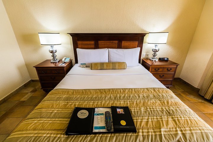 Img - Habitación Elite, 1 cama de matrimonio grande, vistas al jardín