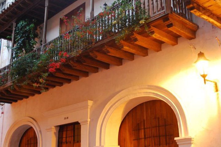 Img - Estándar