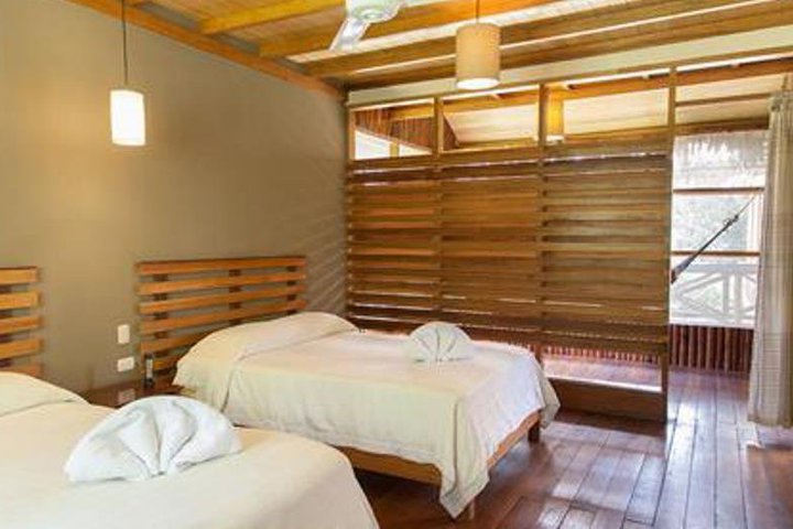 Img - Estándar