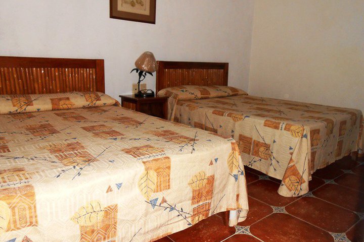 Img - Estándar doble