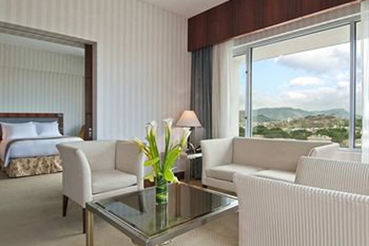 Img - Suite ejecutiva, 1 cama de matrimonio grande, acceso al Business Lounge