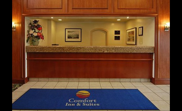 Comfort Inn And Suites San Francisco Airport North Hotel United