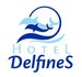 Logo Hotel Hotel Delfines