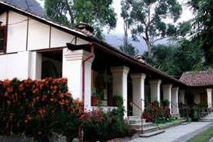 Img - Estándar