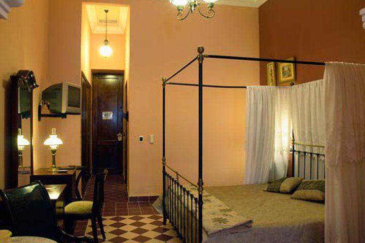 Img - Estándar