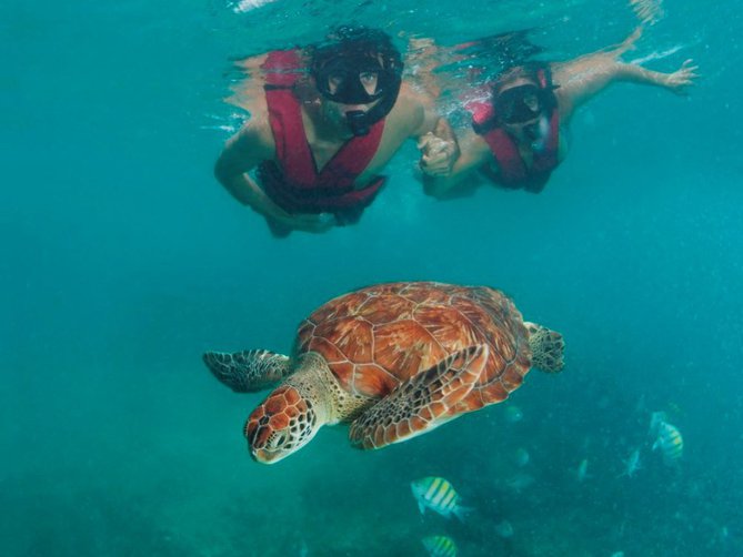 Tulum, Snorkel en Arrecifes y Cenotes