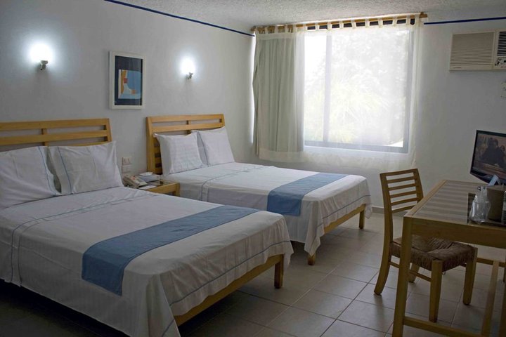 Img - Estándar