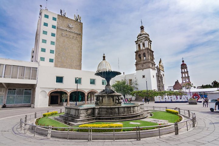 Img - Estándar