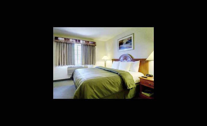 Comfort Suites Chicago Schaumburg Hotel United States Of America