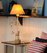 ? HotelDetail_LogoAlt Los Juncos-Patagonian Lake House logo