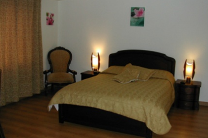 Img - Estándar