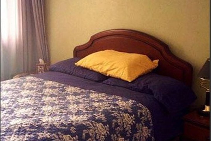 Img - Estándar
