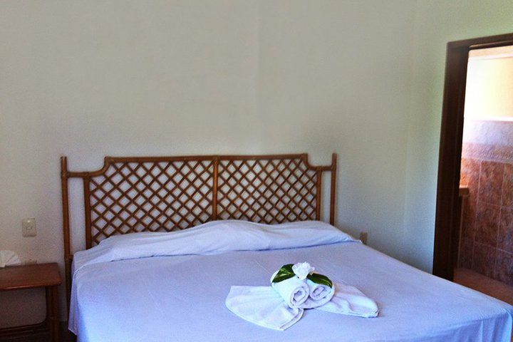 Img - Estándar