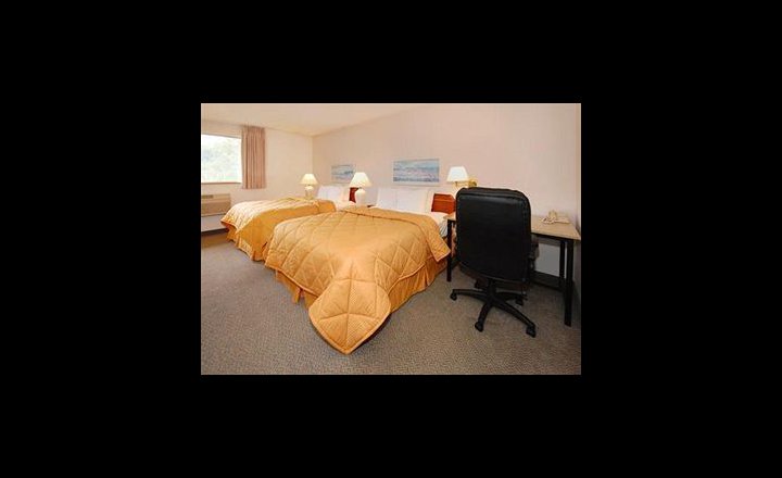 Comfort Inn Hotel Kirkland United States Of America Pricetravel