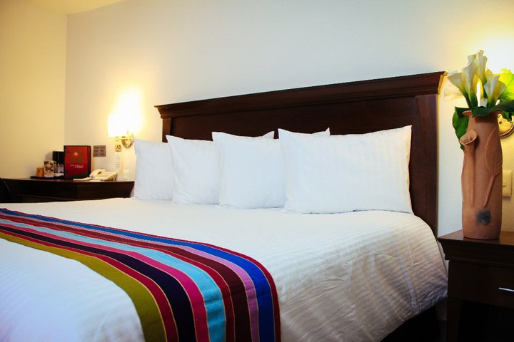 Img - Suite