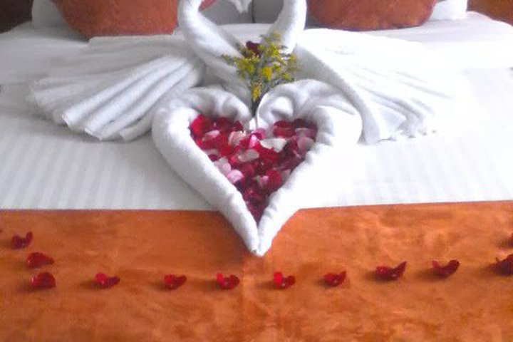 Img - Suite