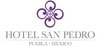 ? HotelDetail_LogoAlt Hotel San Pedro Puebla logo