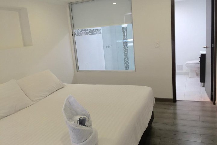 Img - Estándar