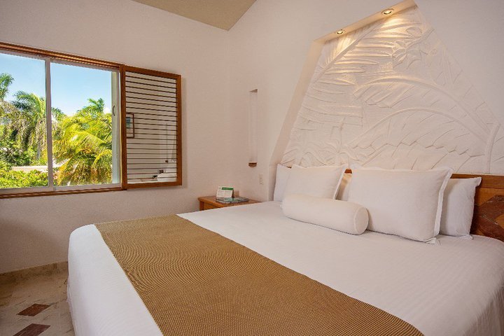 Img - Estándar