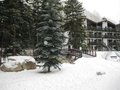 ? HotelDetail_LogoAlt Vail Racquet Club Mountain Resort logo