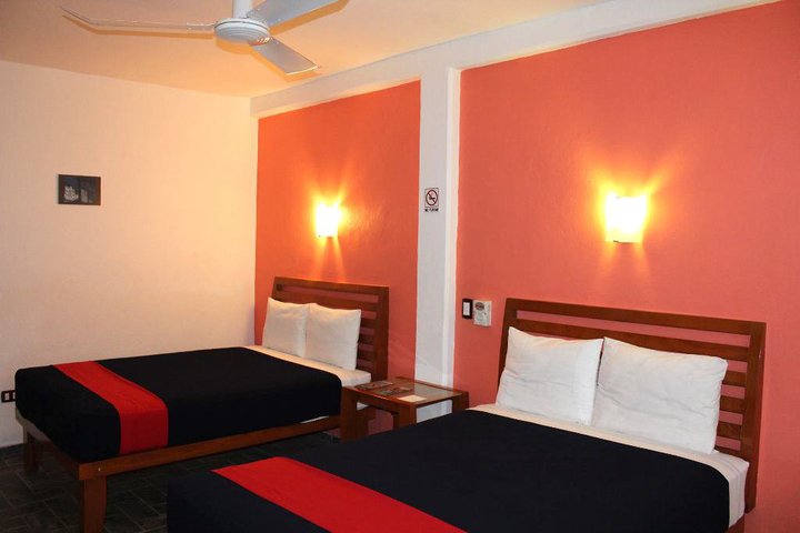 Img - Estándar