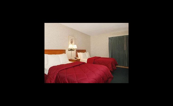 Comfort Inn Binghamton Hotel Pricetravel