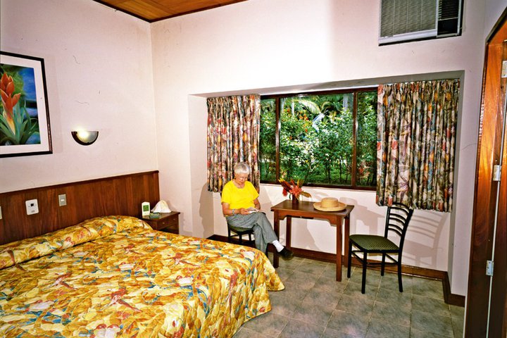 Img - Ceiba