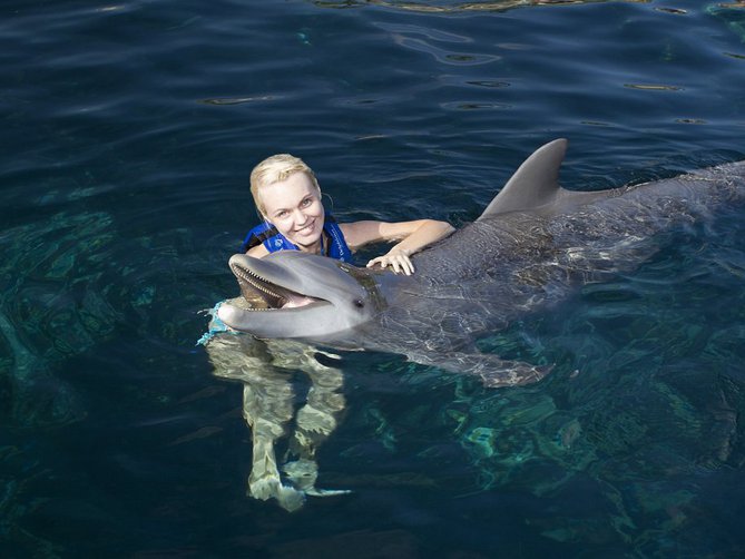 Nado con Delfines Hábitat en Playa Mujeres 15% DE DESCUENTO