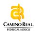 Logo Hotel Camino Real Pedregal