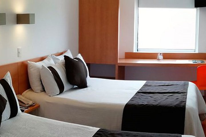 Img - Room (Dog Friendly)