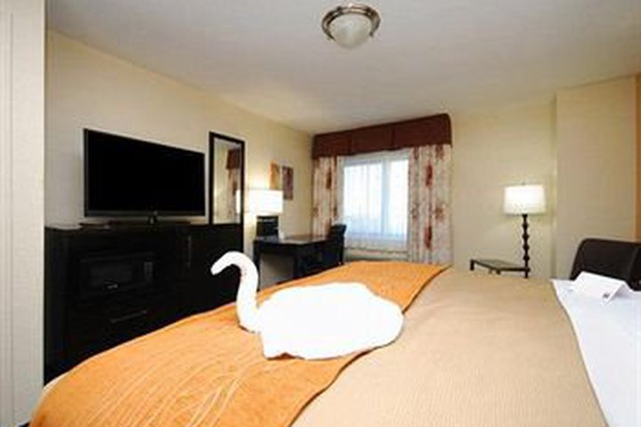Img - Habitación estándar, 1 cama de matrimonio, accesible para personas con discapacidad, no fumadores