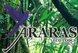 ? HotelDetail_LogoAlt Araras Eco Lodge logo