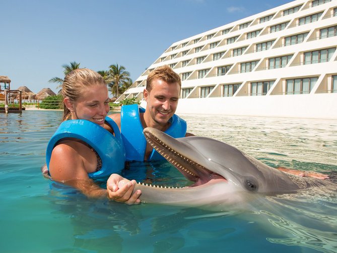 Nado con Delfines Hábitat en Punta Cancún 15% DE DESCUENTO