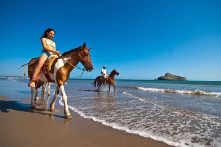 Image result for caballos en playas de mazatlan
