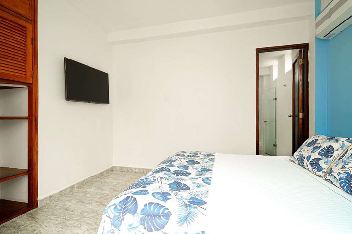 Img - Estándar