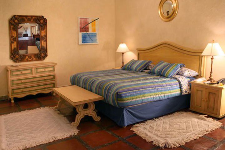 Img - Estándar