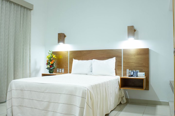 Img - Estándar