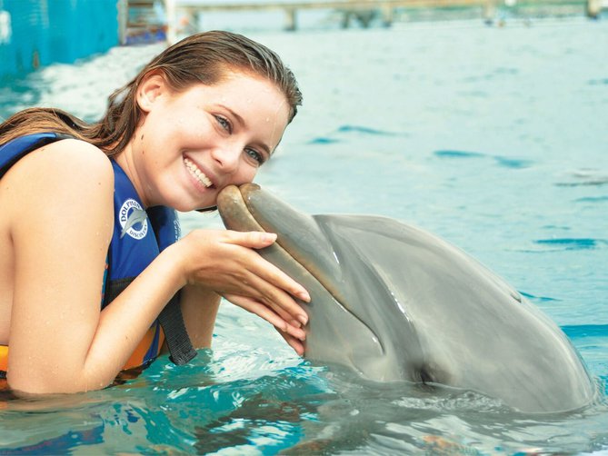 Nado con Delfines Aquaventuras