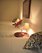 ? HotelDetail_LogoAlt Anami Hotel Boutique logo