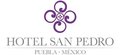 ? HotelDetail_LogoAlt Hotel San Pedro Puebla logo