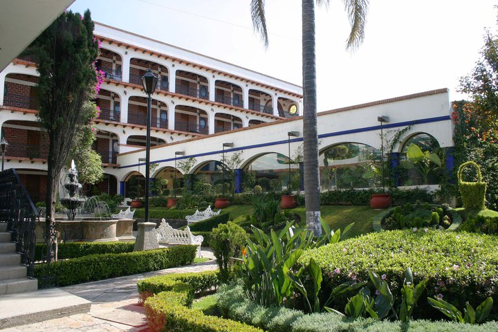 Img - Estándar