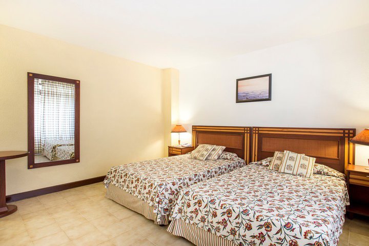 Img - Estándar