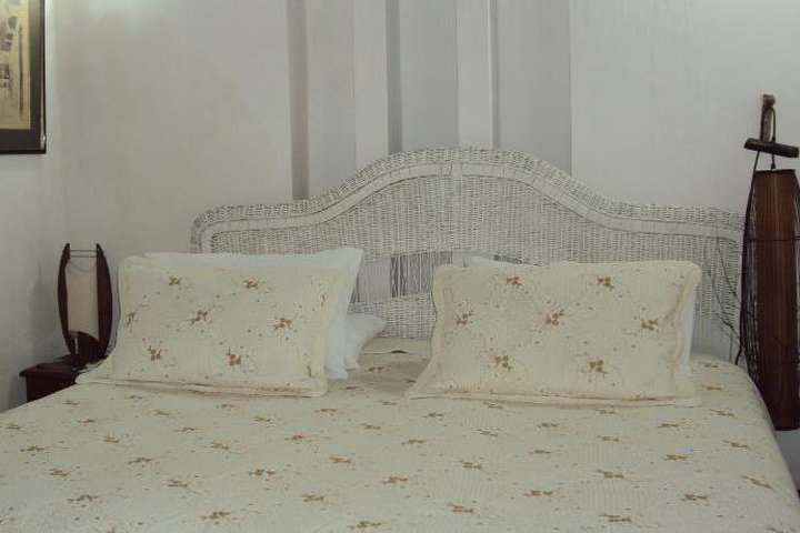 Img - Estándar