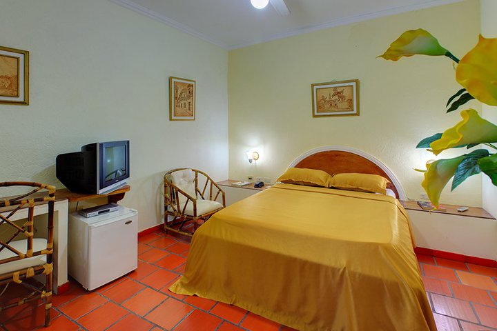 Img - Estándar