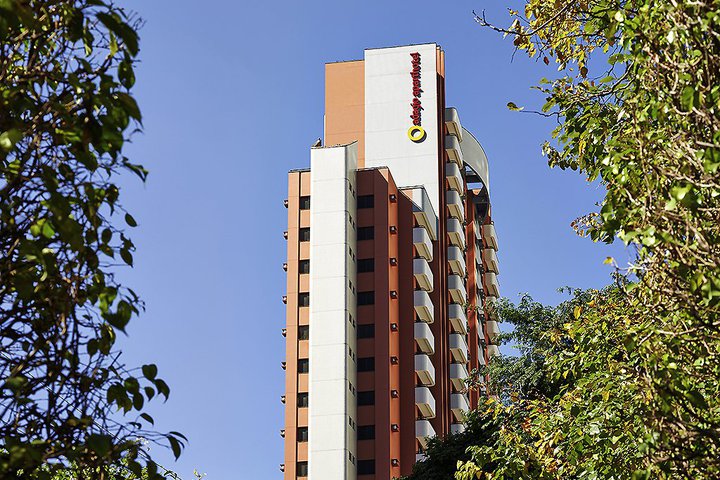 Img - Estándar
